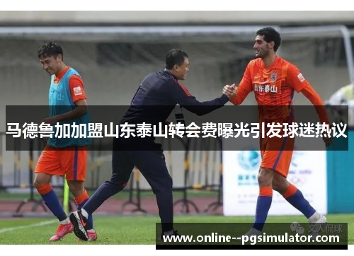 马德鲁加加盟山东泰山转会费曝光引发球迷热议